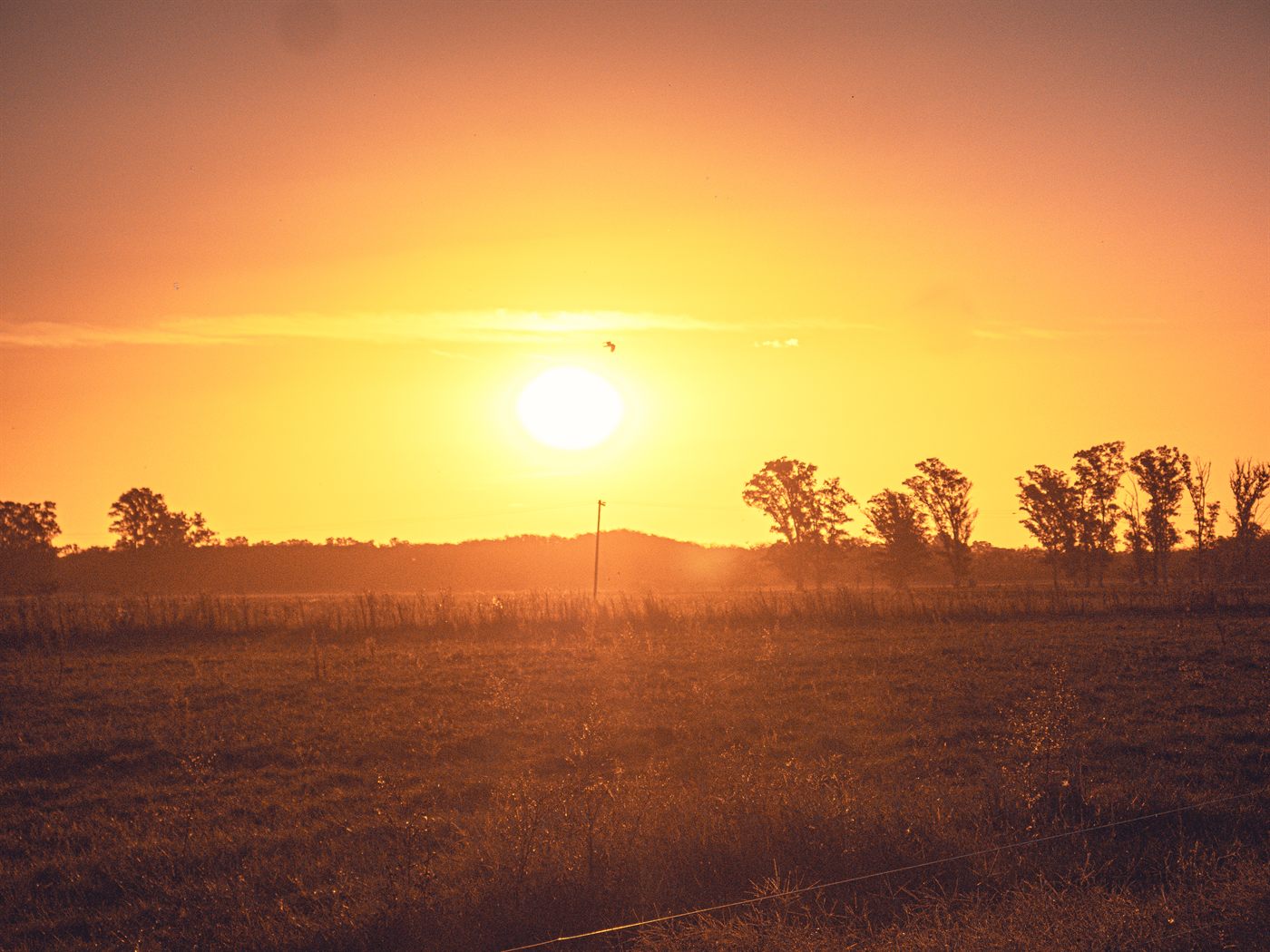 El cielo del campo al amanecer